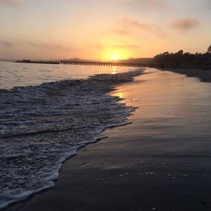 Meet your Posher, Sean